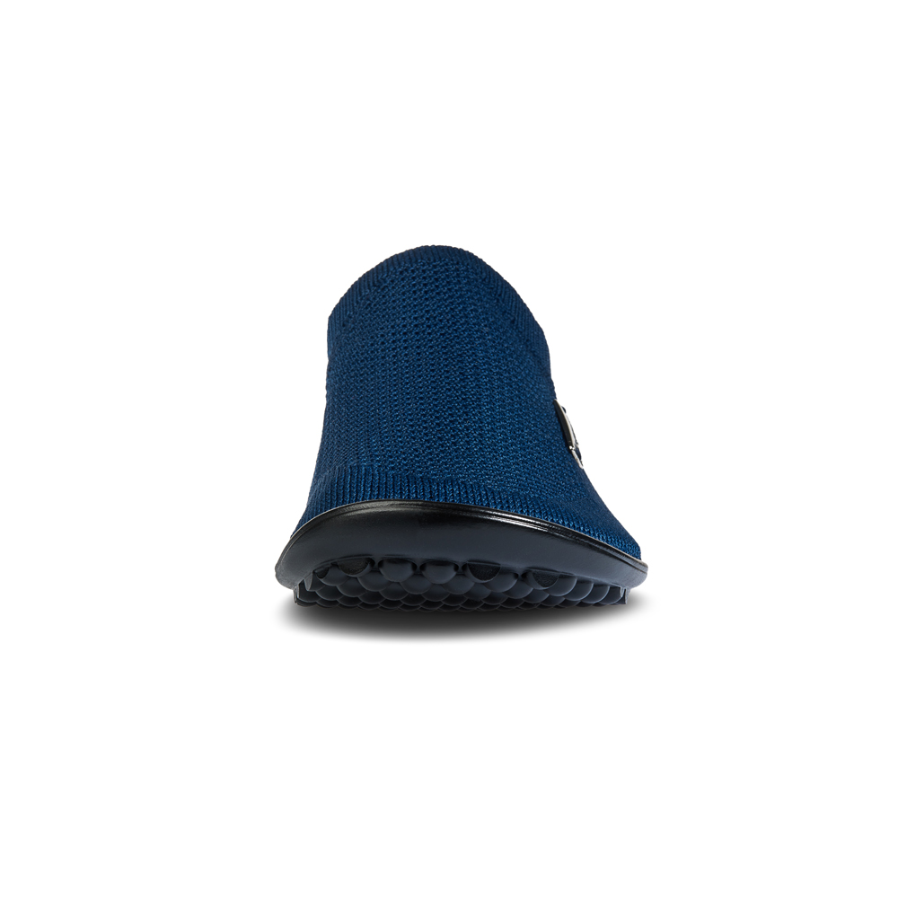 Leguano Scio Blue