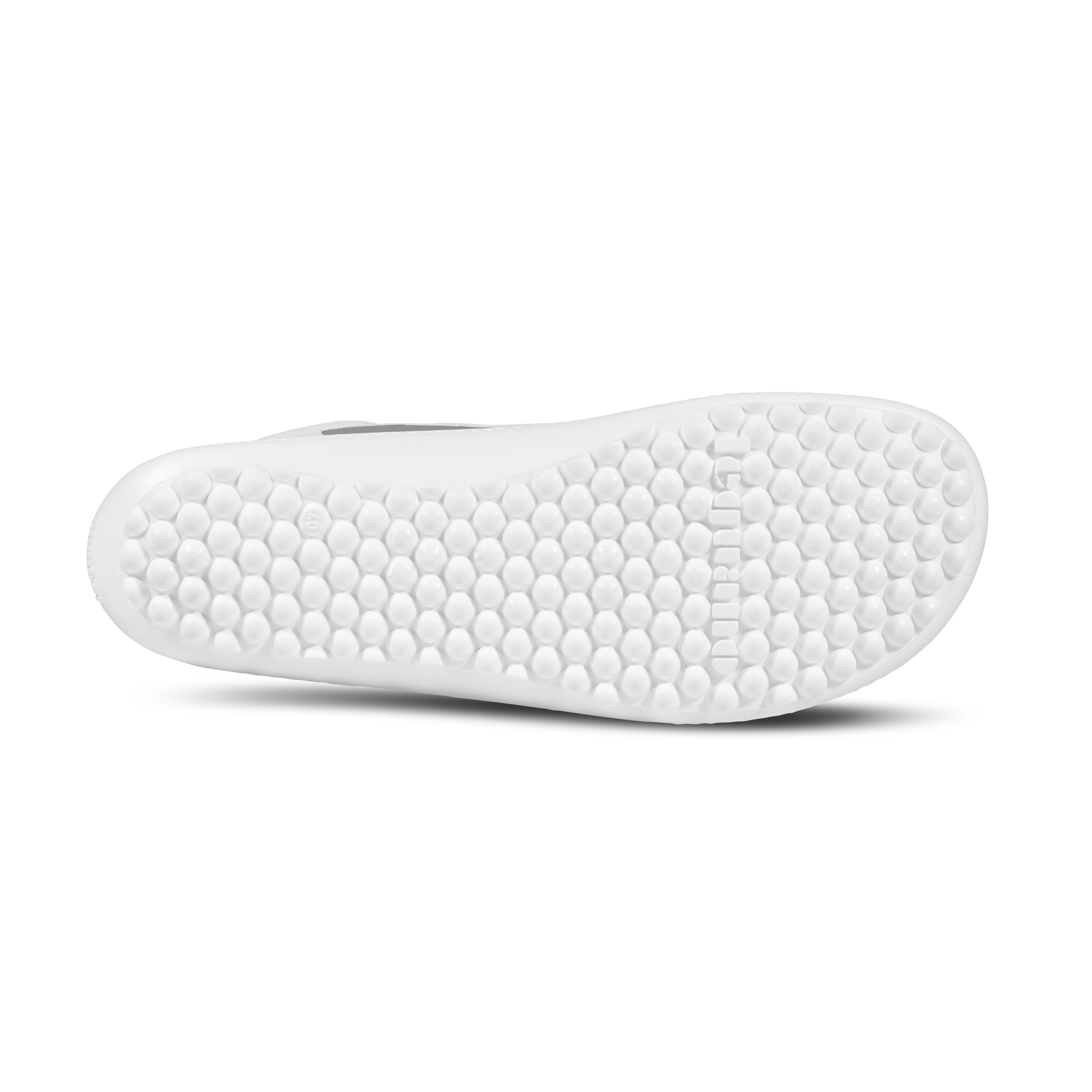 Leguano Spinwyn White
