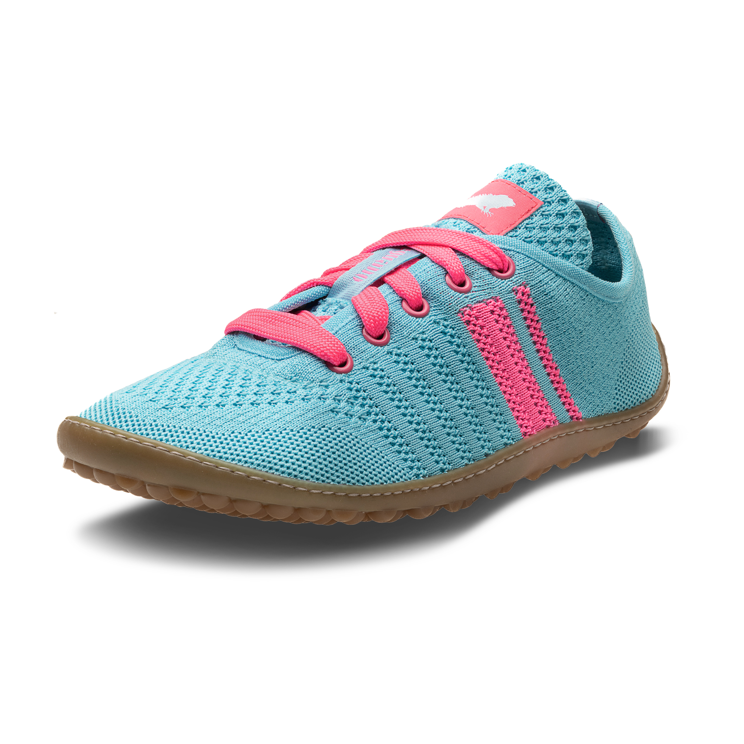Leguano Caribeo Blue – Bild 2