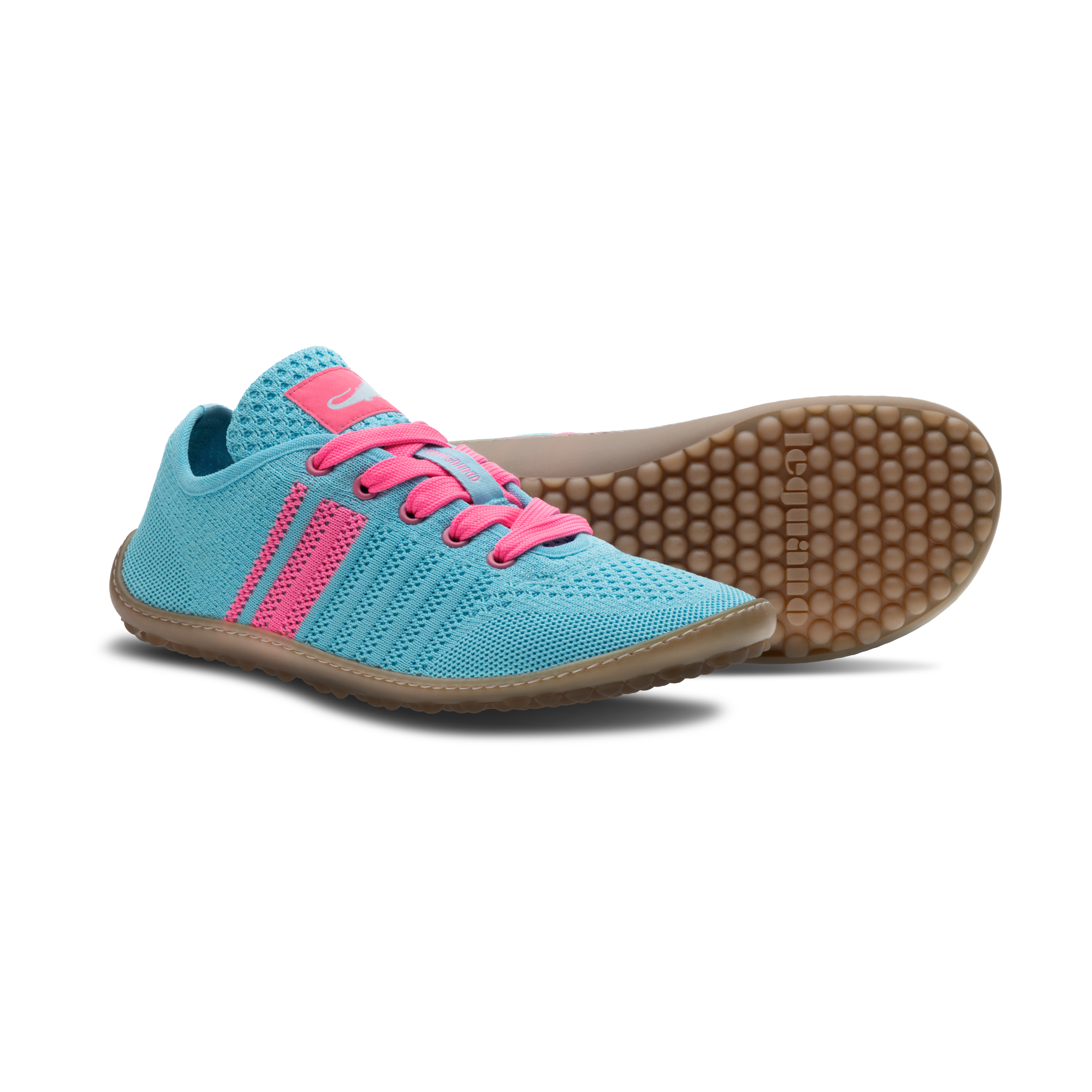 Leguano Caribeo Blue – Bild 3