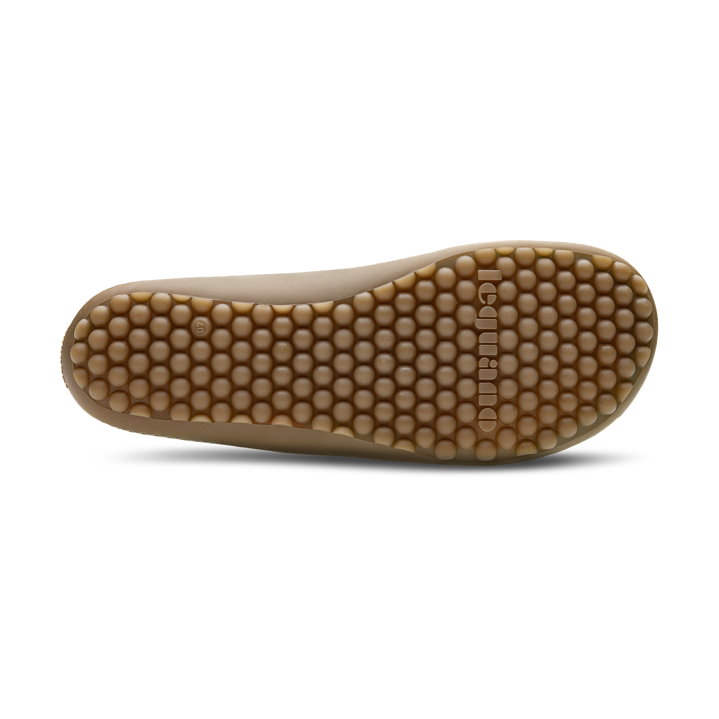 Leguano Caribeo Blue – Bild 5