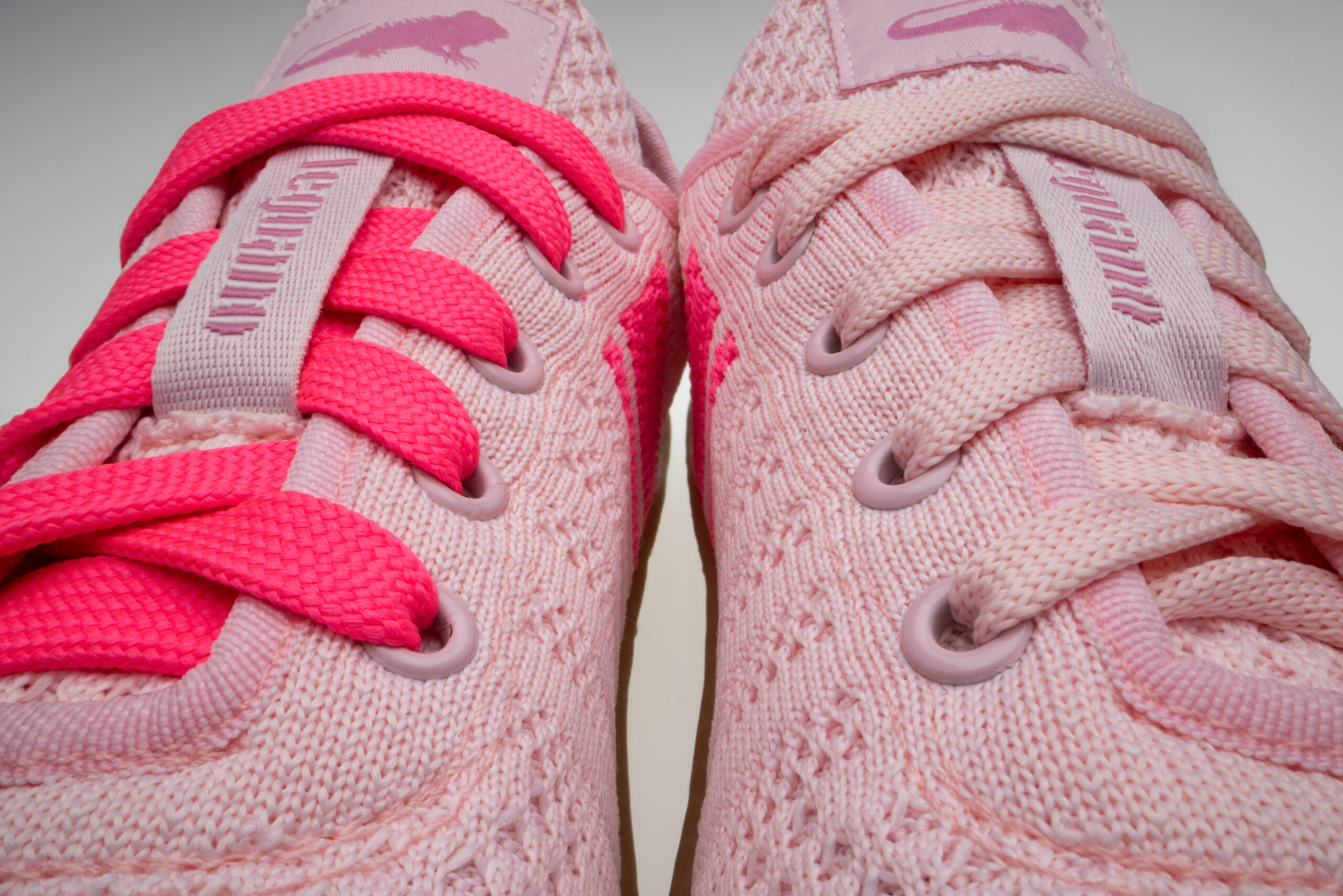 Leguano Caribeo Rose – Bild 5