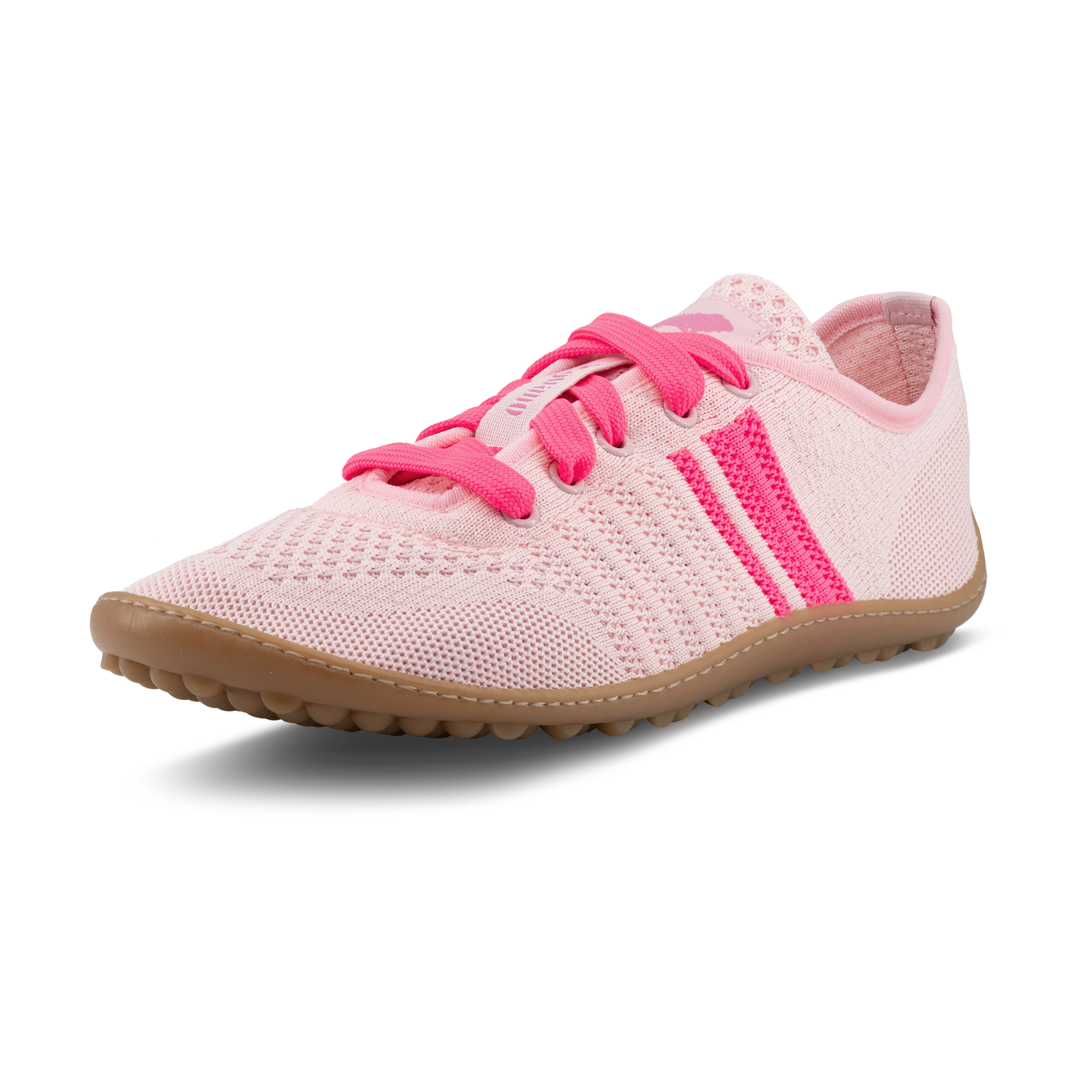 Leguano Caribeo Rose – Bild 2