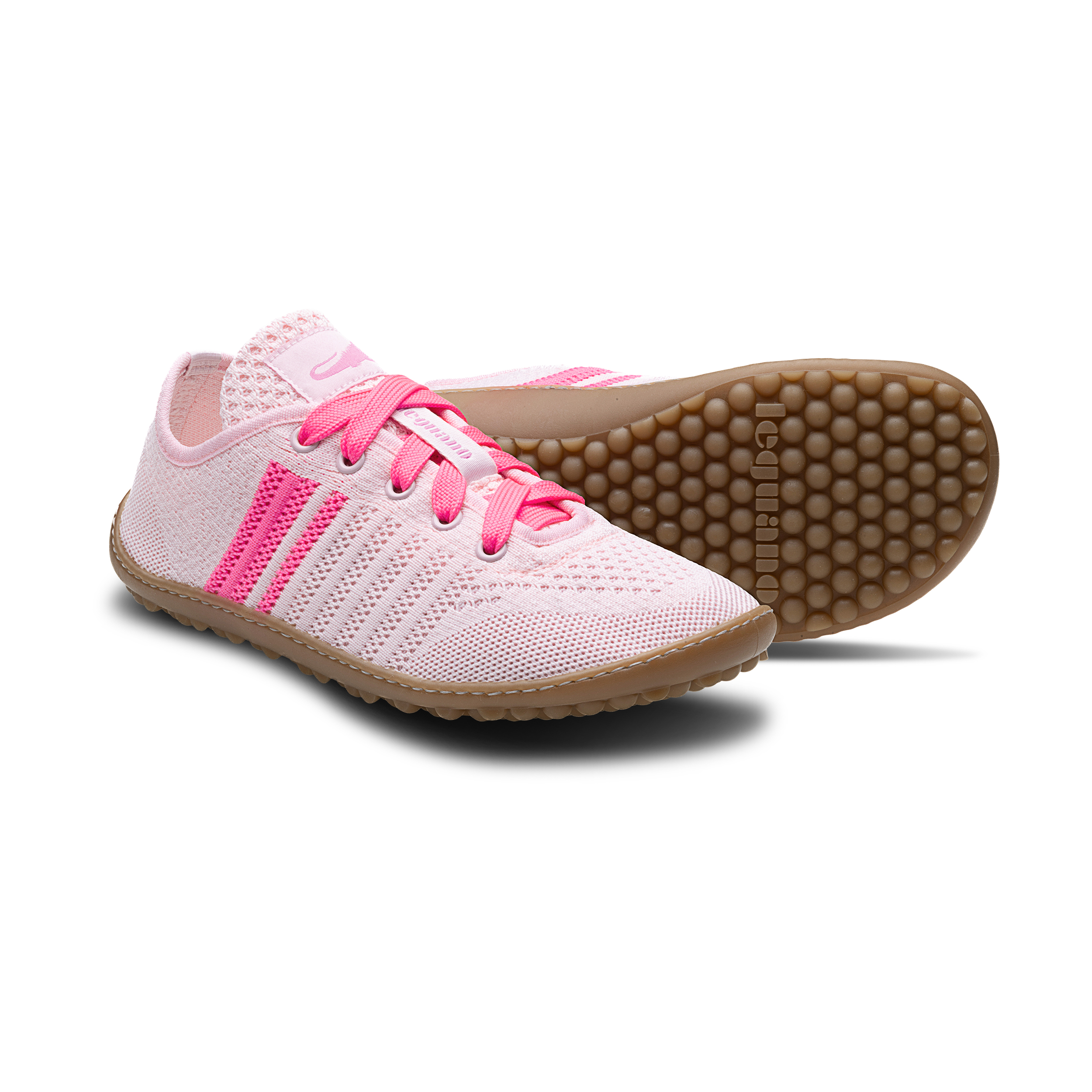 Leguano Caribeo Rose – Bild 3