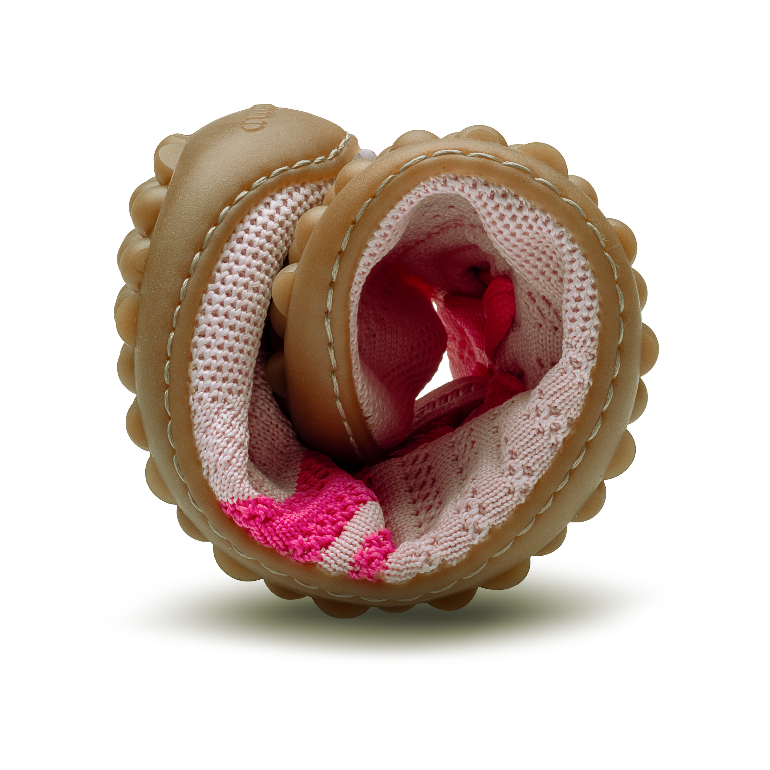 Leguano Caribeo Rose – Bild 9